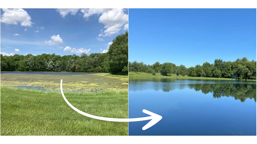 before-after pond weed treatment