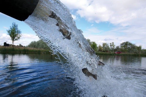 Expert Fish Stocking Advice - Kingsland