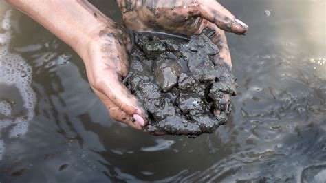 Pond bottom covered in thick black muck and decaying organic matter in a Texas Hill Country pond