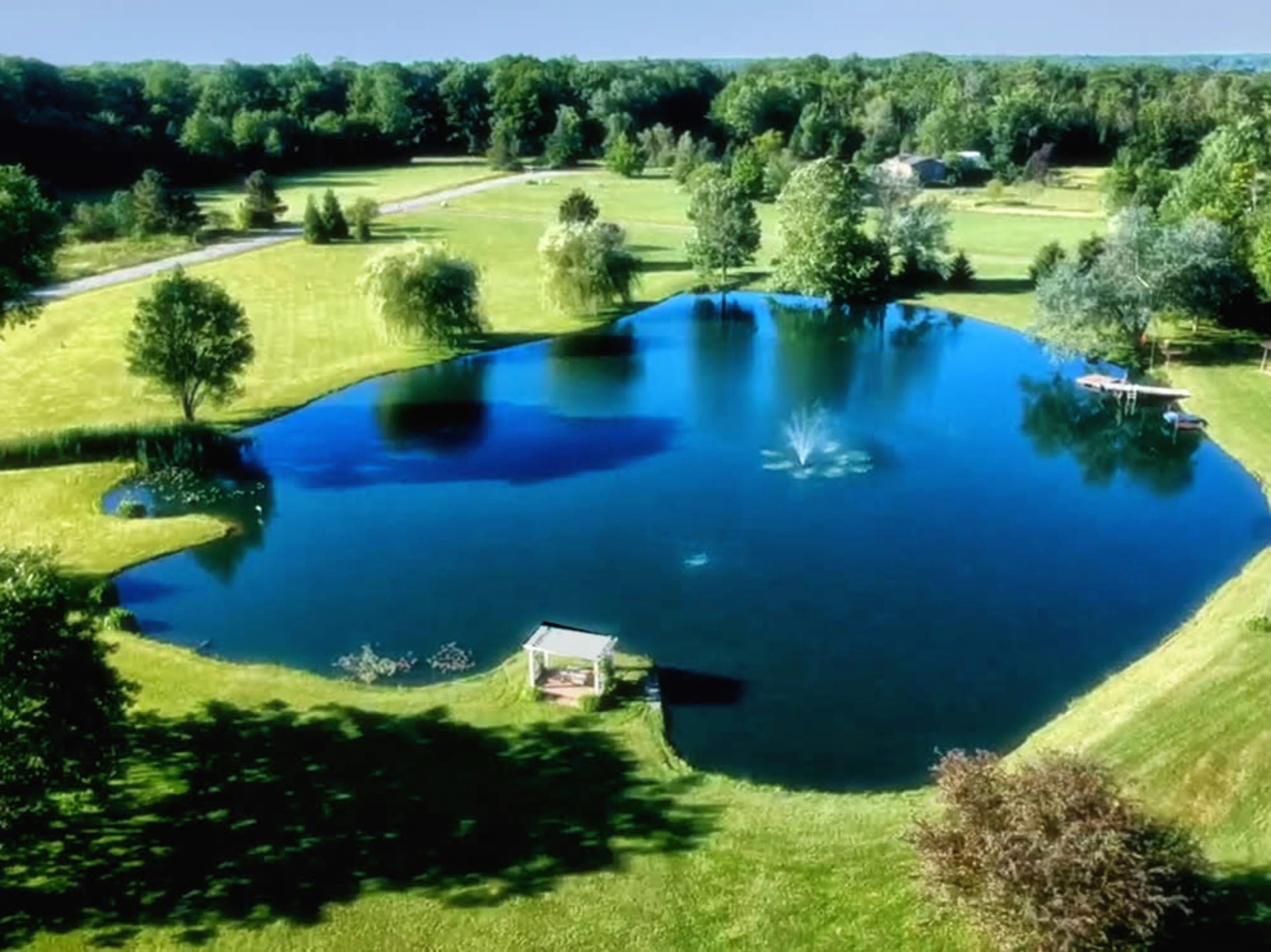 Professional pond Dye Highland Pond Management.