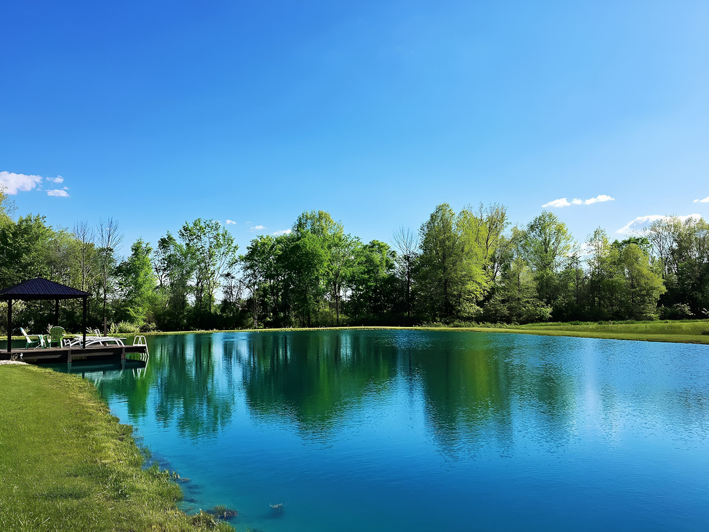 winter pond renovation Texas Hill Country