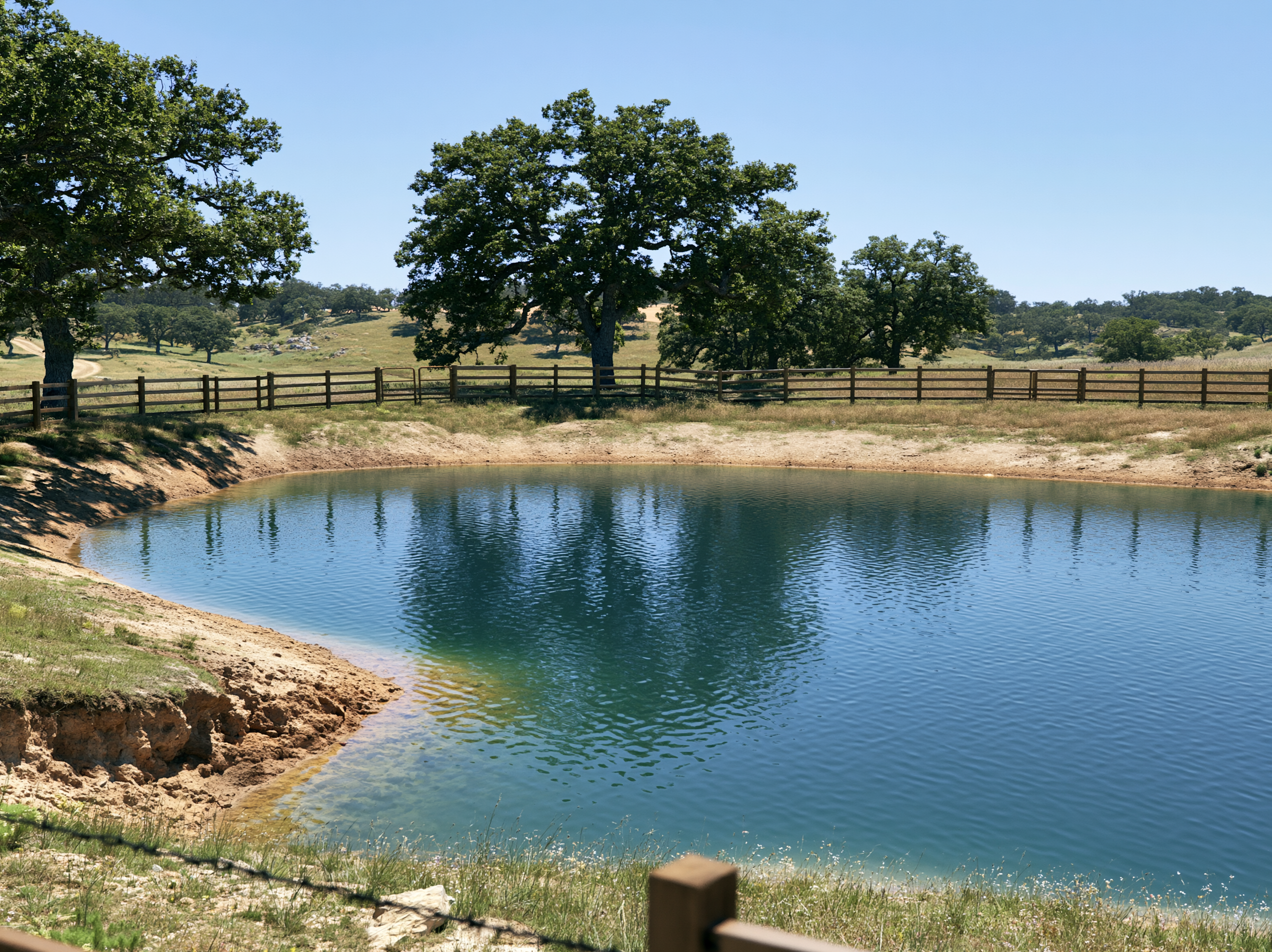 Texas ranch pond showing a slightly exposed shoreline from normal summer water level decline.