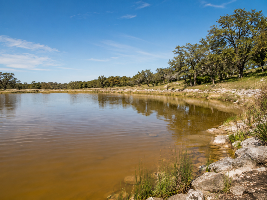 Texas Hill Country pond with naturally brown water after rainfall.
