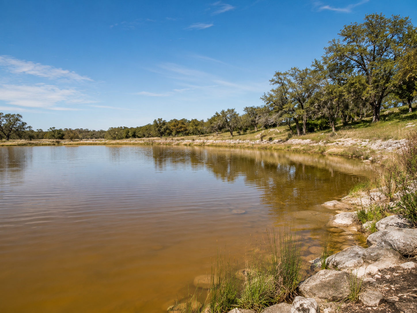 Texas Hill Country pond with naturally brown water after rainfall.
